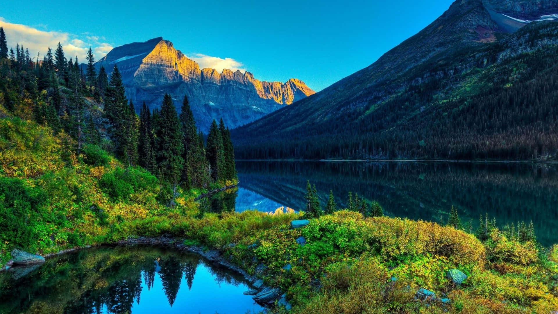 पहाड़ों और पेड़ों से घिरी एक झील वॉलपेपर