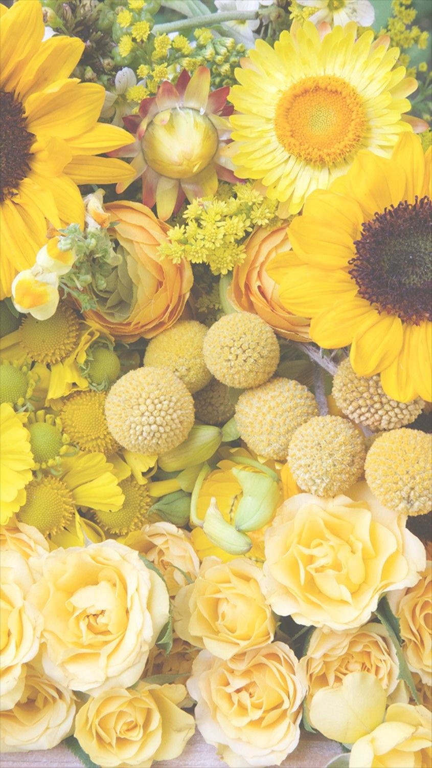 पीला फूलों वाला आईफोन वॉलपेपर