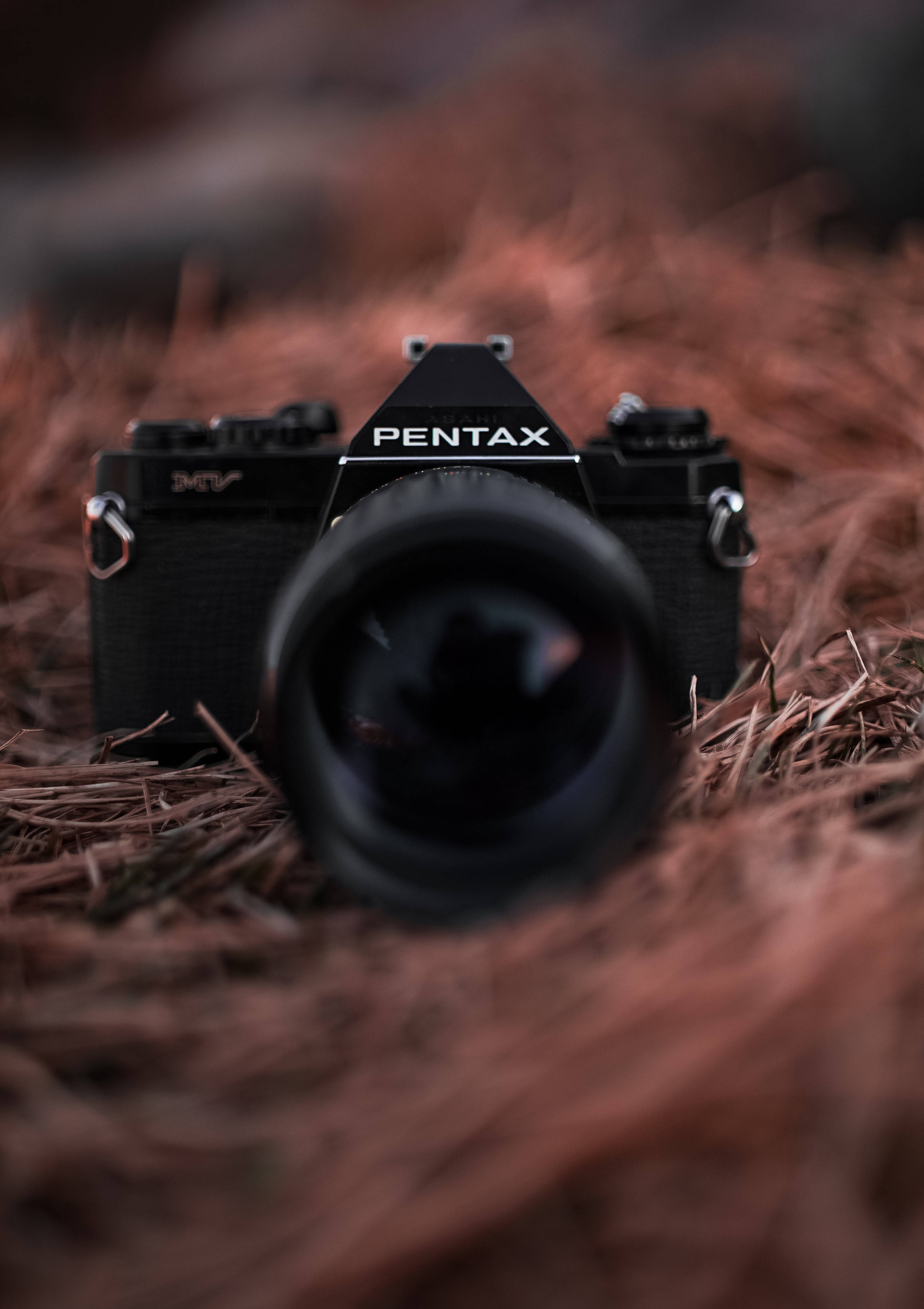 Pentax कैमरे से जीवन की सुंदरता को कैद करें वॉलपेपर