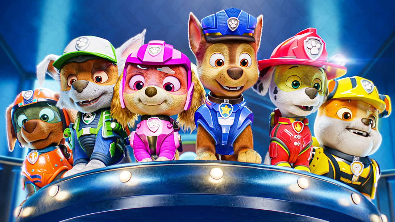 पॉ पेट्रोल द मूवी पिल्लों की निगरानी — कुत्ता वॉलपेपर