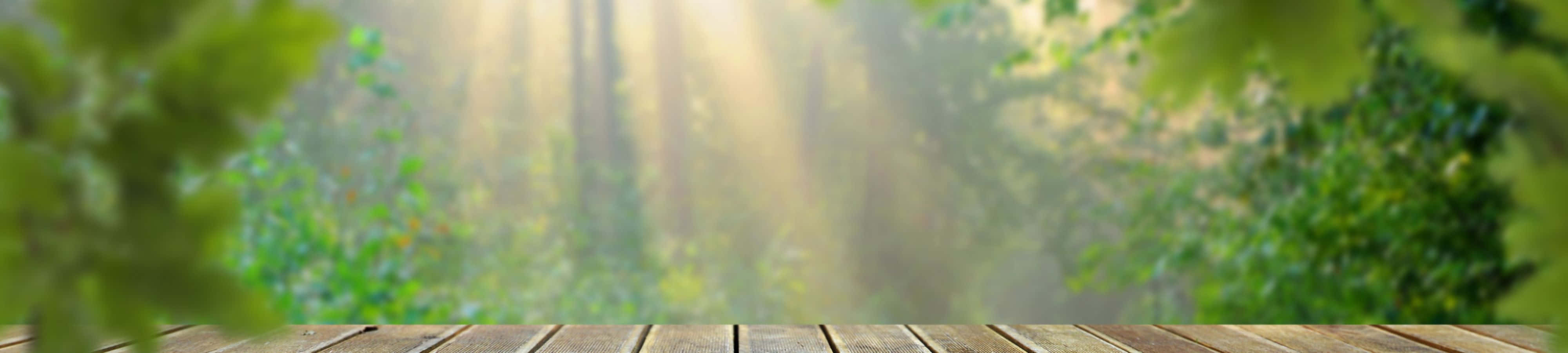 प्रकृति की सुंदरता का आनंद लें वॉलपेपर