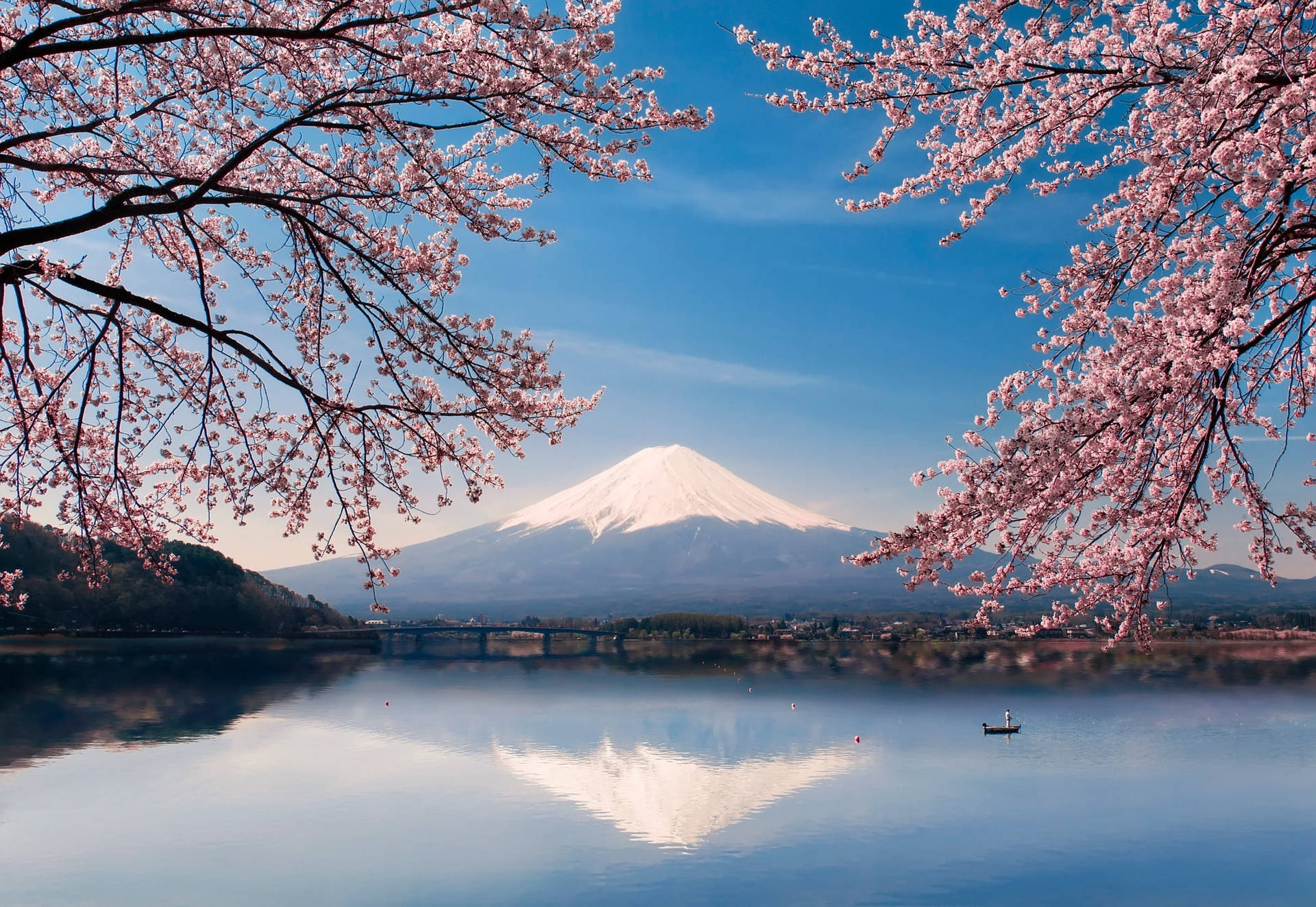 माउंट फुजी चेरी ब्लॉसम जापान 4K — Japan GIF वॉलपेपर