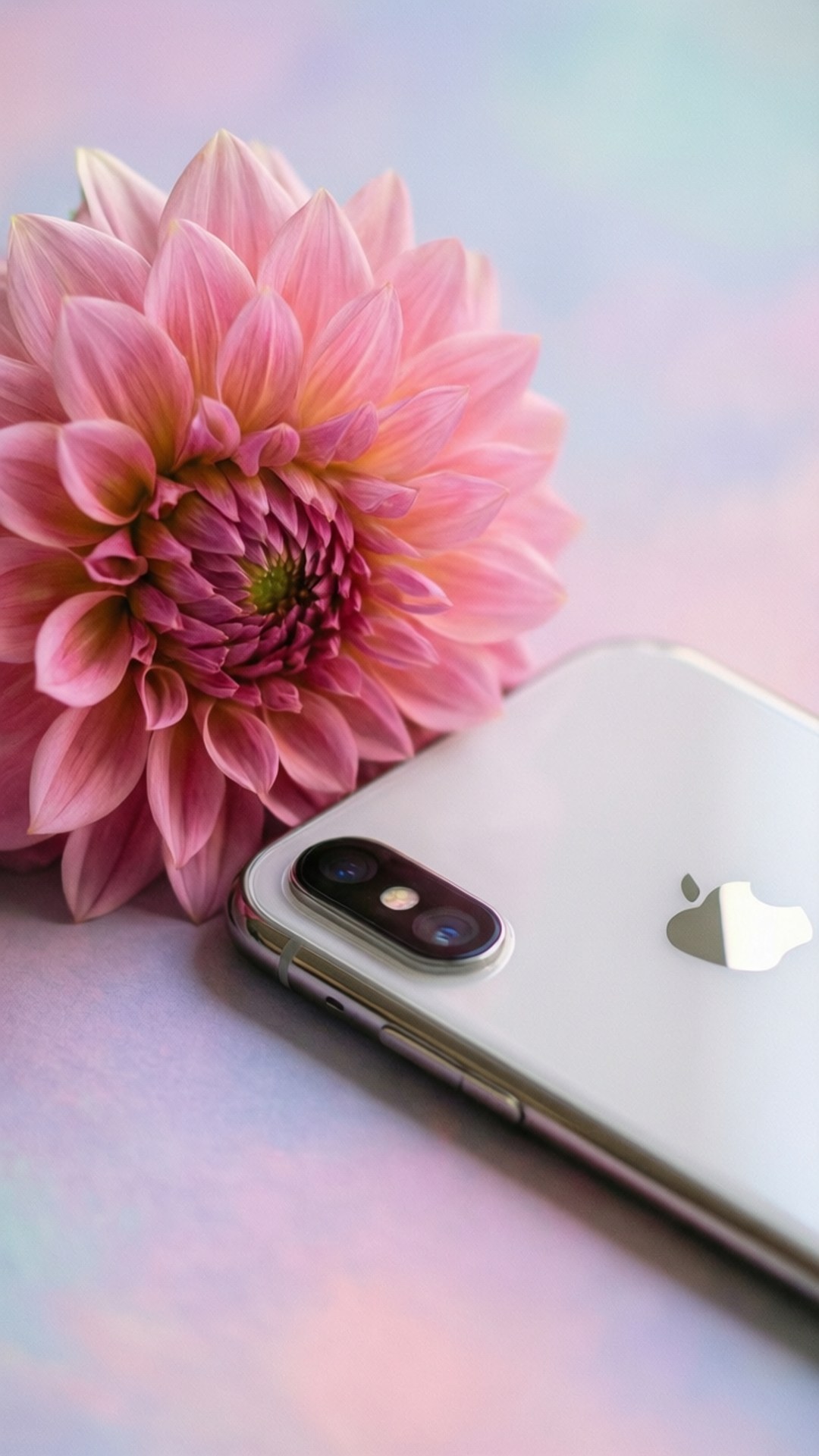 फ्लोरल एलिगेंस iPhone XR वॉलपेपर