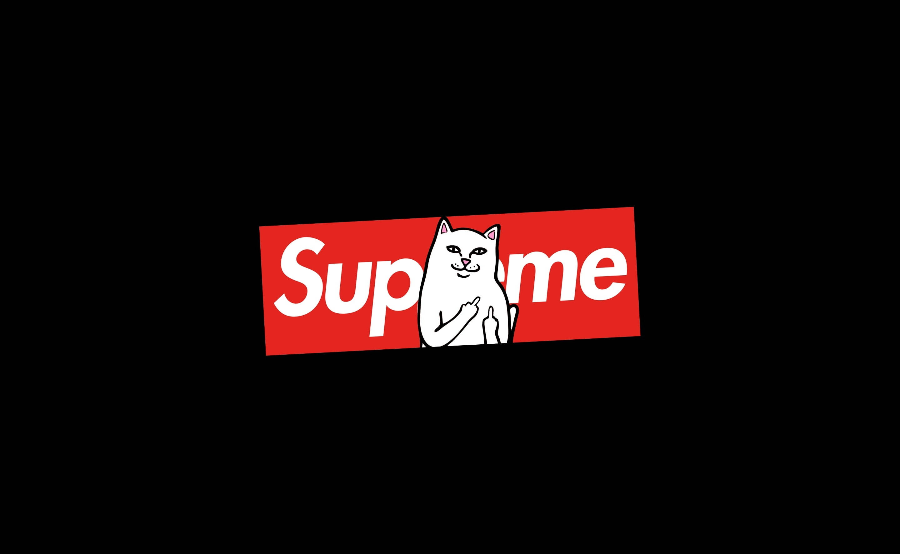बिल्ली Supreme लैपटॉप पर बैठी हुई वॉलपेपर