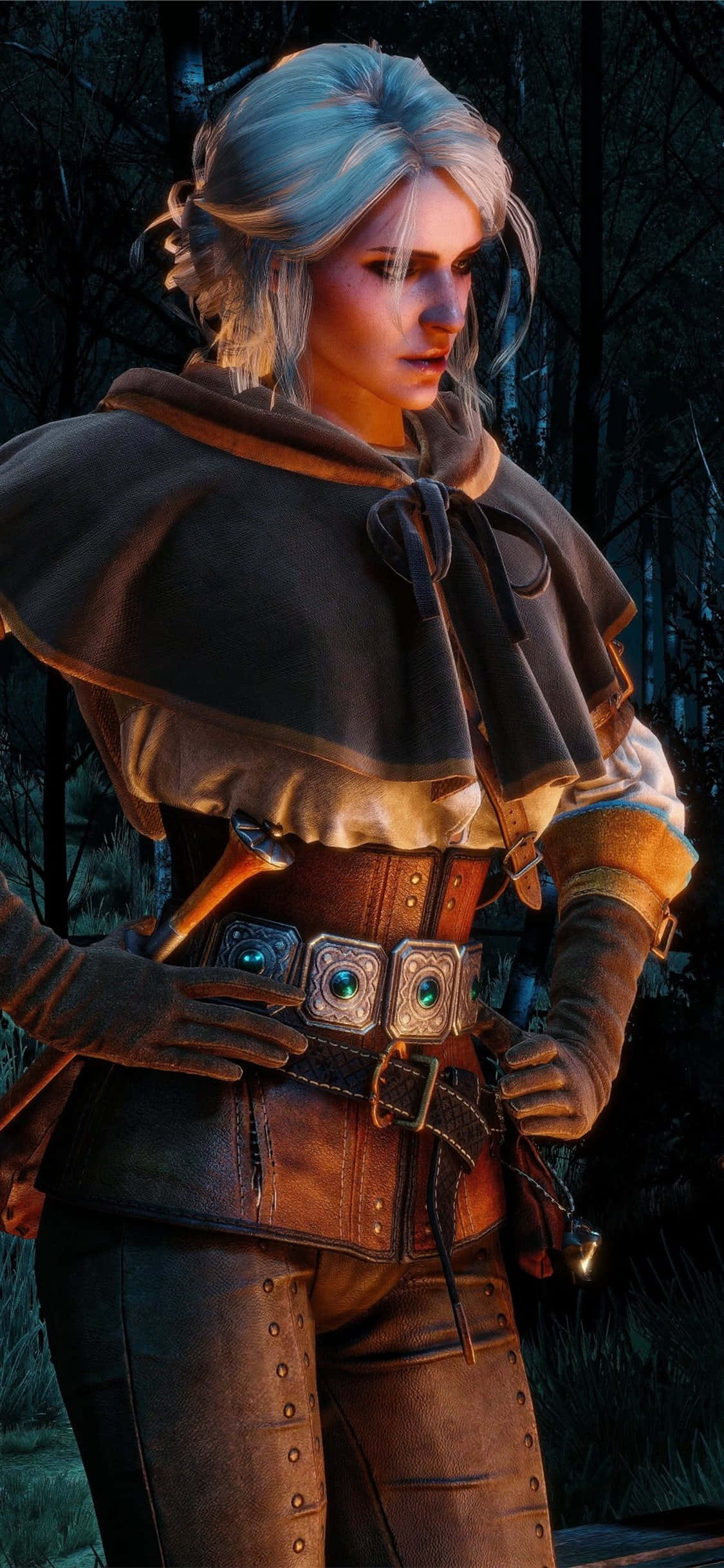 सर्वश्रेष्ठ The Witcher 3 पृष्ठभूमि वॉलपेपर