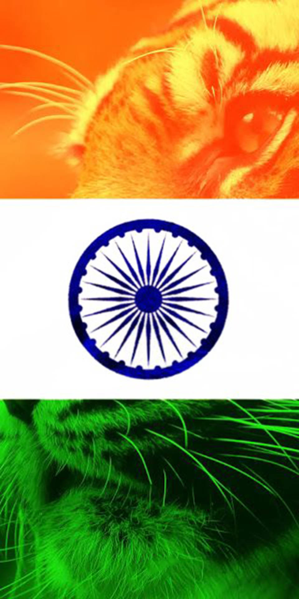 भारतीय झंडा मोबाइल बाघ के साथ — बाघ वॉलपेपर