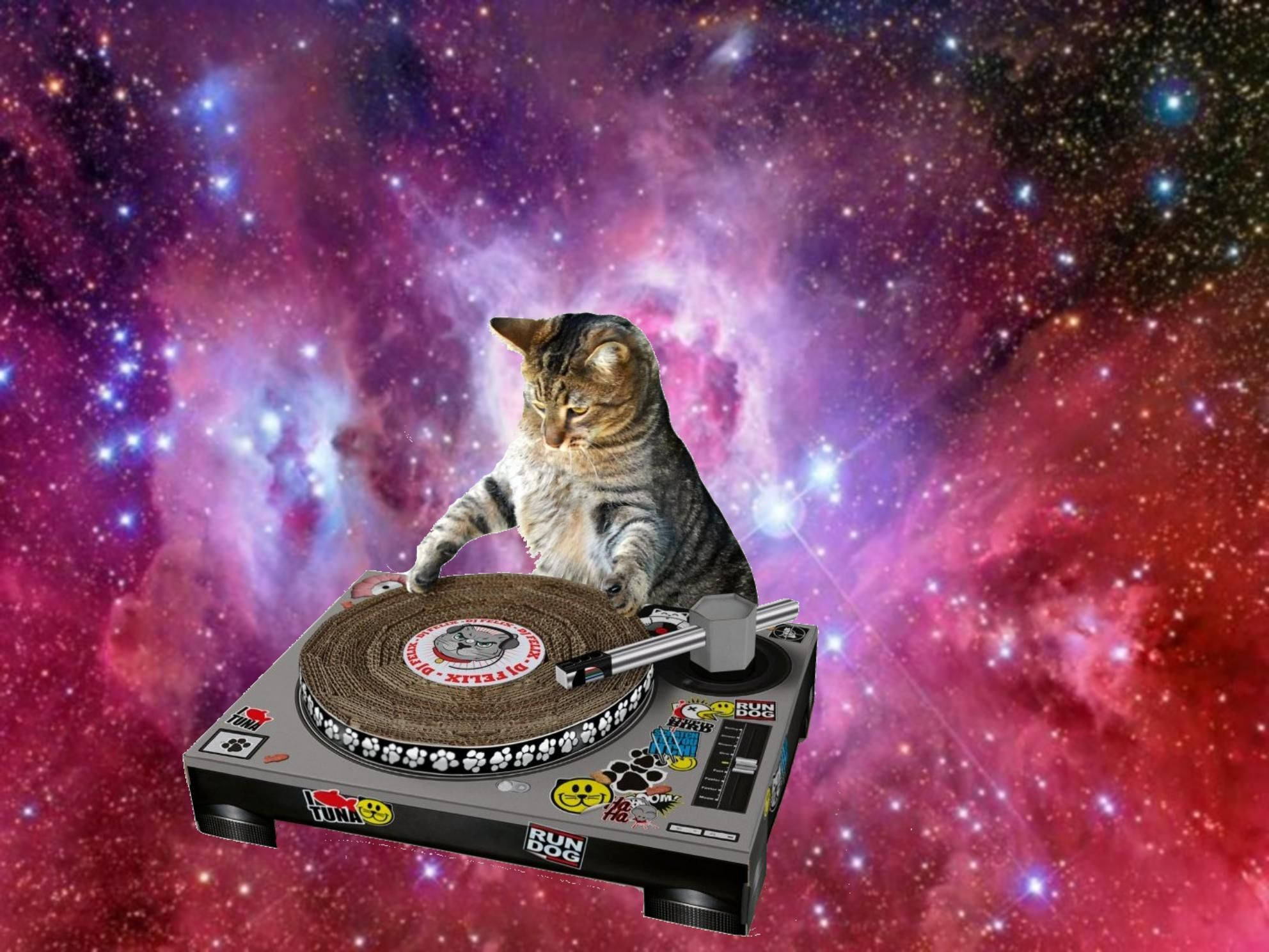 मजेदार बिल्ली DJ अंतरिक्ष में बजाती हुई वॉलपेपर