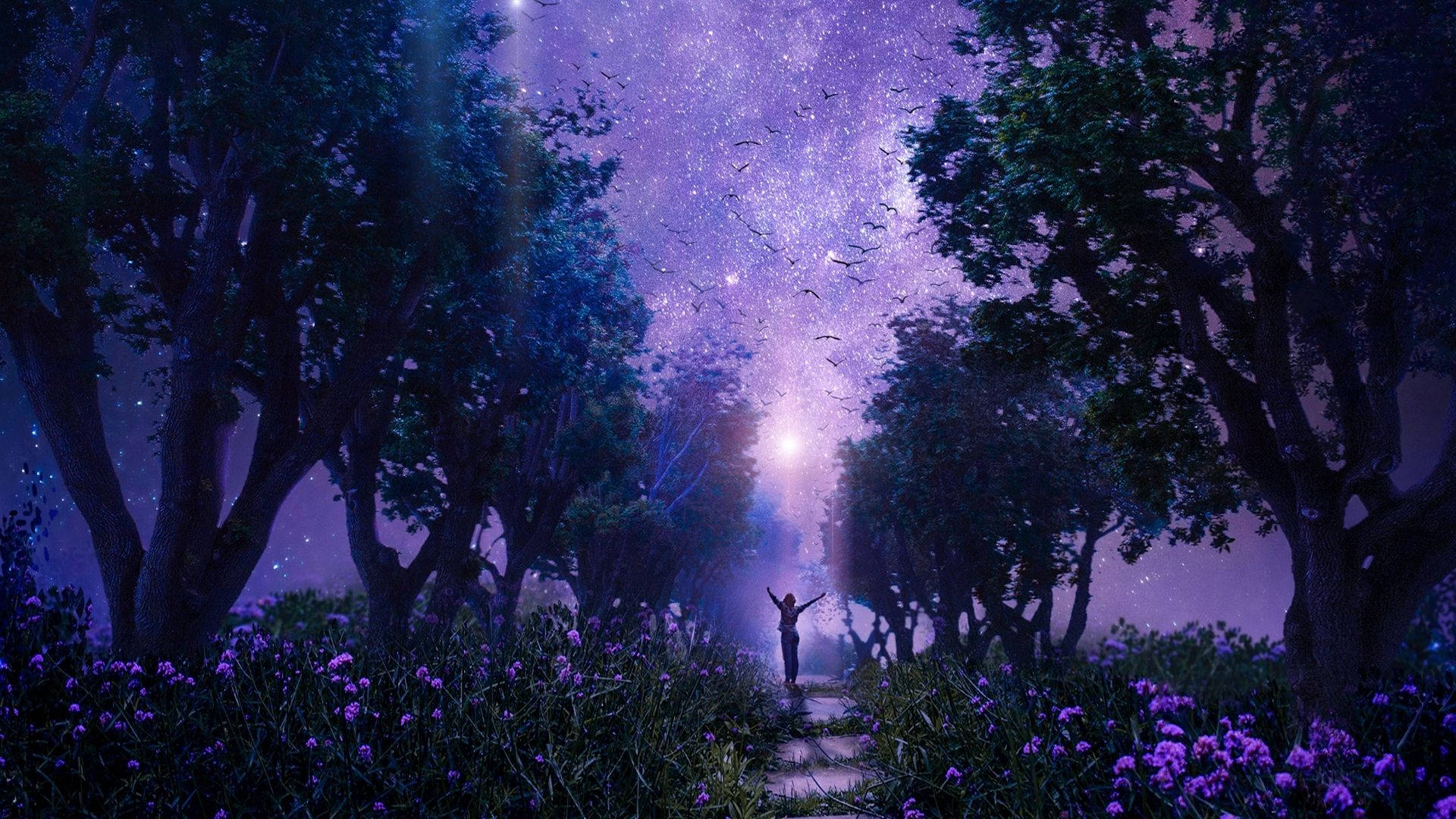 मुफ्त परी सौंदर्य वॉलपेपर