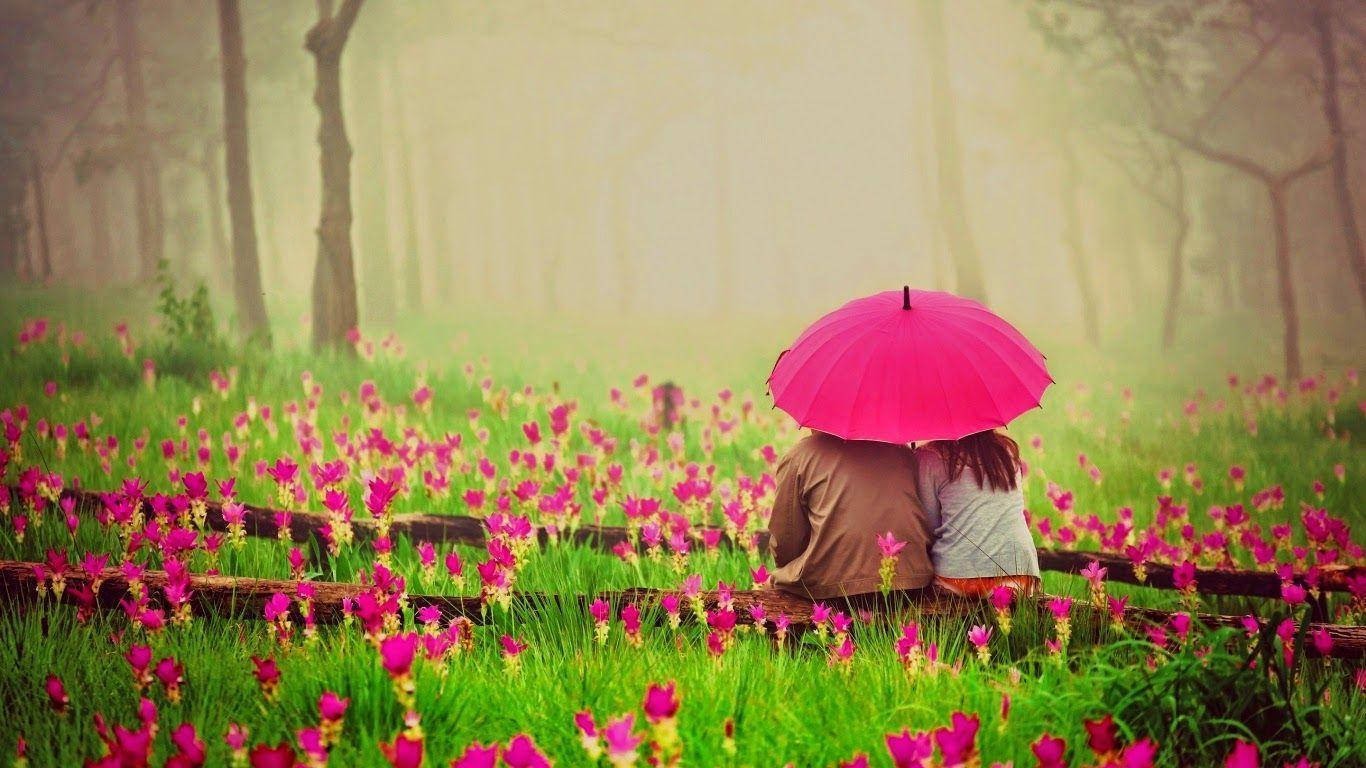 मेरा प्यार जमीन पर बैठे फूल वॉलपेपर