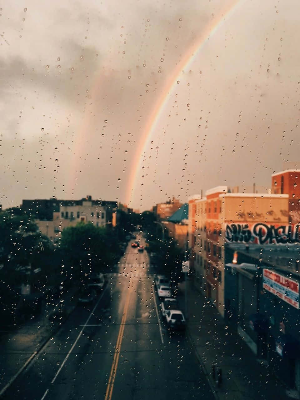 रंगों का मनमोहक स्पेक्ट्रम वॉलपेपर