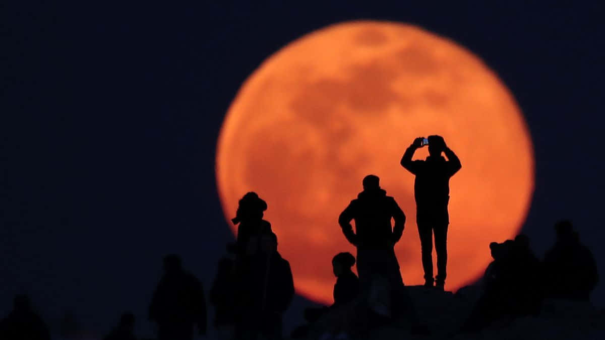 लोग लाल चाँद की तस्वीरें ले रहे हैं वॉलपेपर