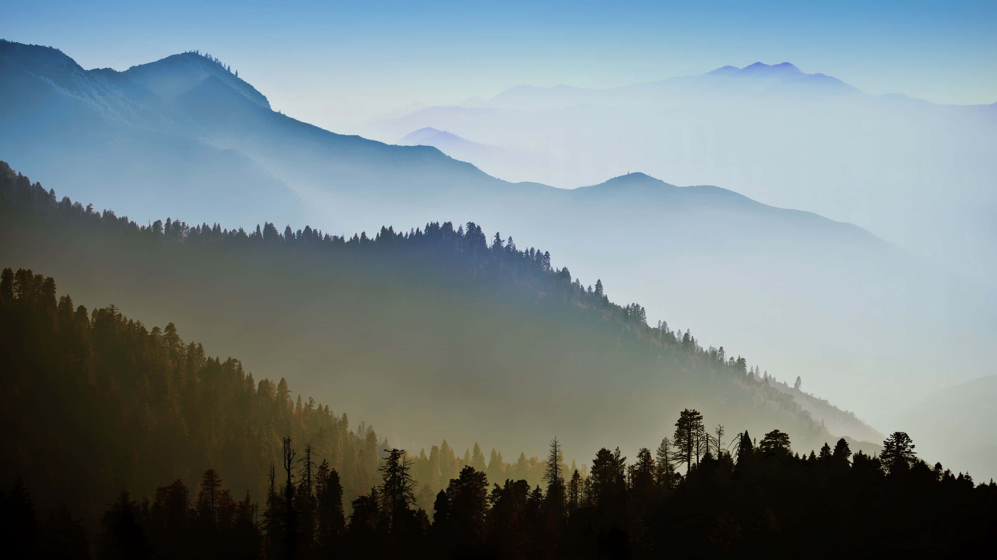 वुड्स माउंटेंस कैलिफोर्निया मैकबुक डिफॉल्ट वॉलपेपर
