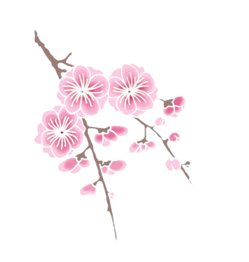 शाखा पर चेरी ब्लॉसम वॉलपेपर