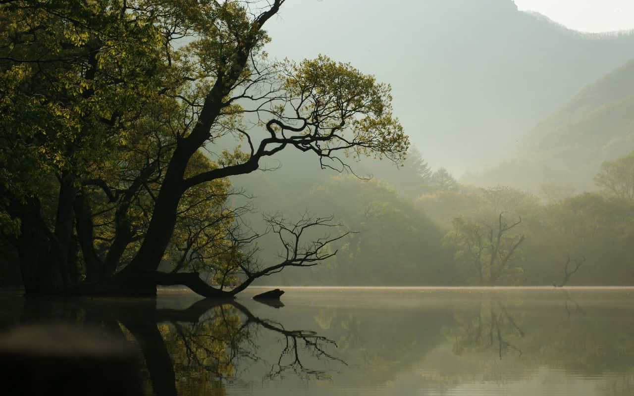 सिएरा नेवादा पर्वतमाला का शानदार परिदृश्य वॉलपेपर