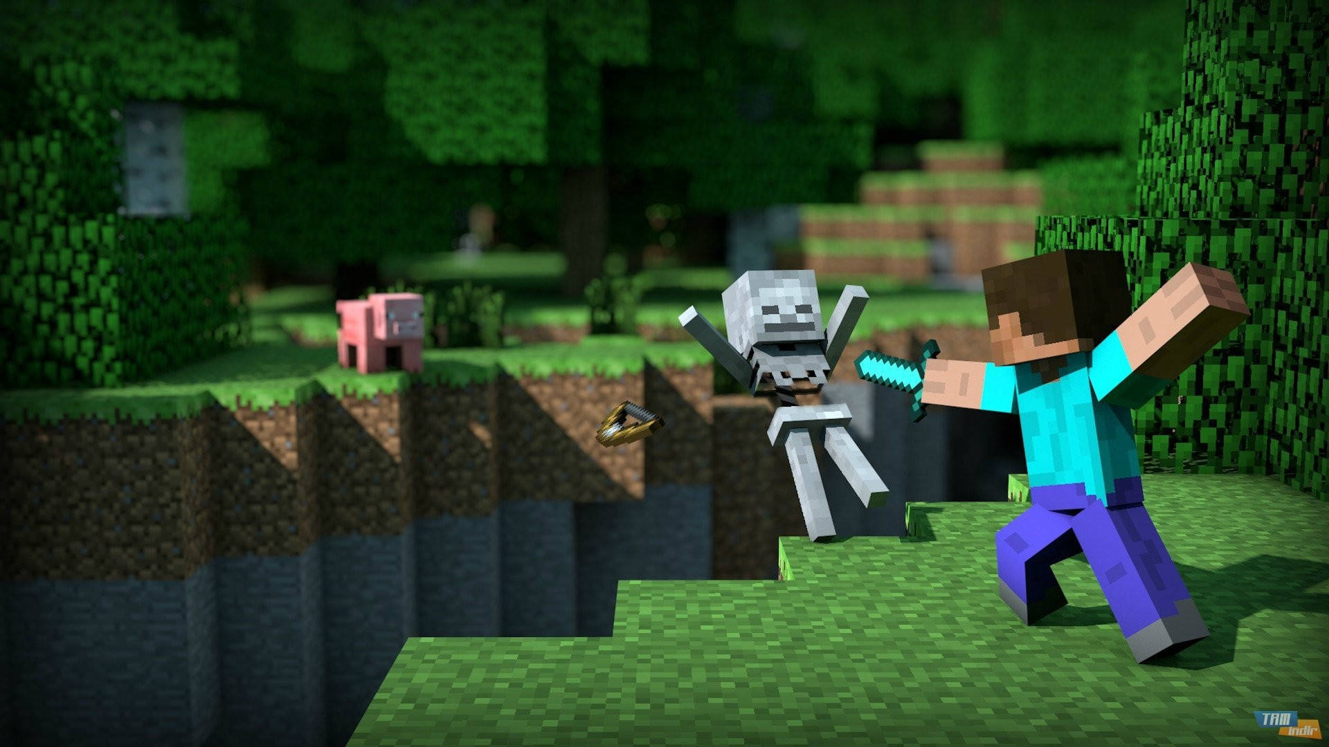 स्टीव एक कंकाल से लड़ता हुआ Minecraft HD वॉलपेपर