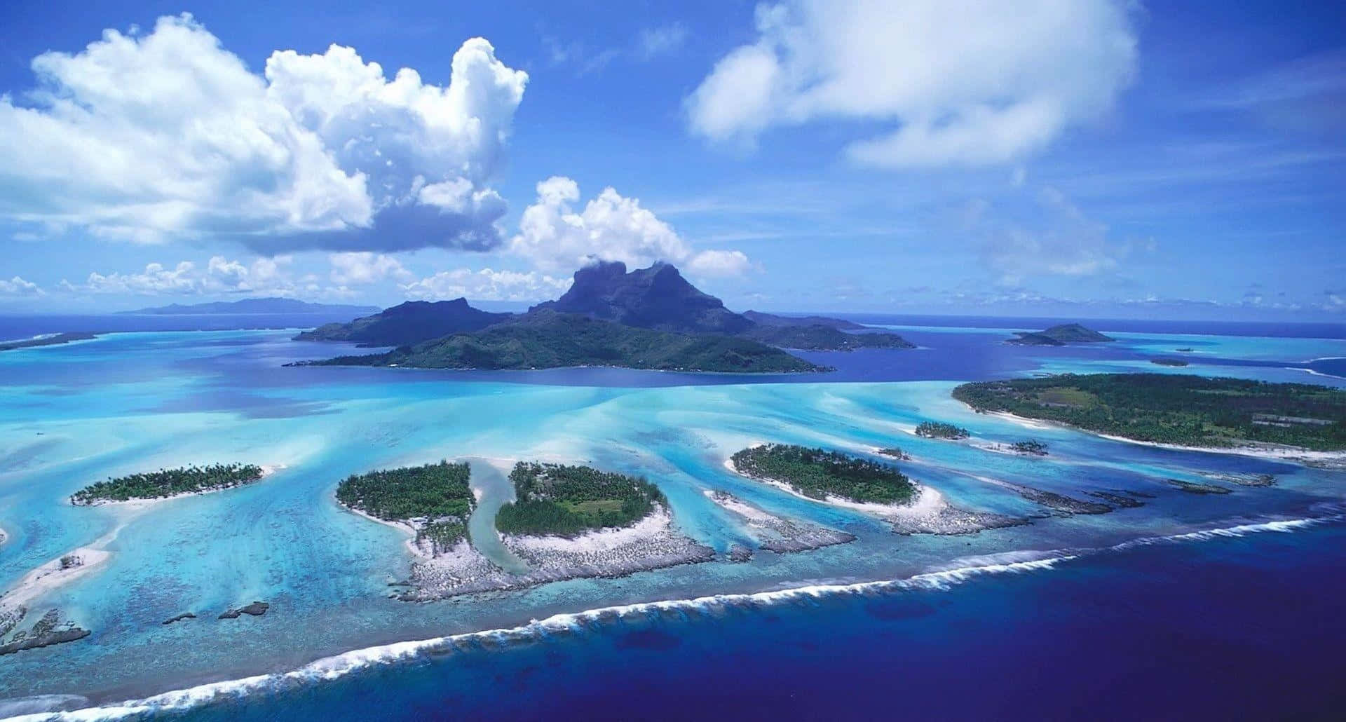 हरा-भरा उष्णकटिबंधीय जंगल वॉलपेपर