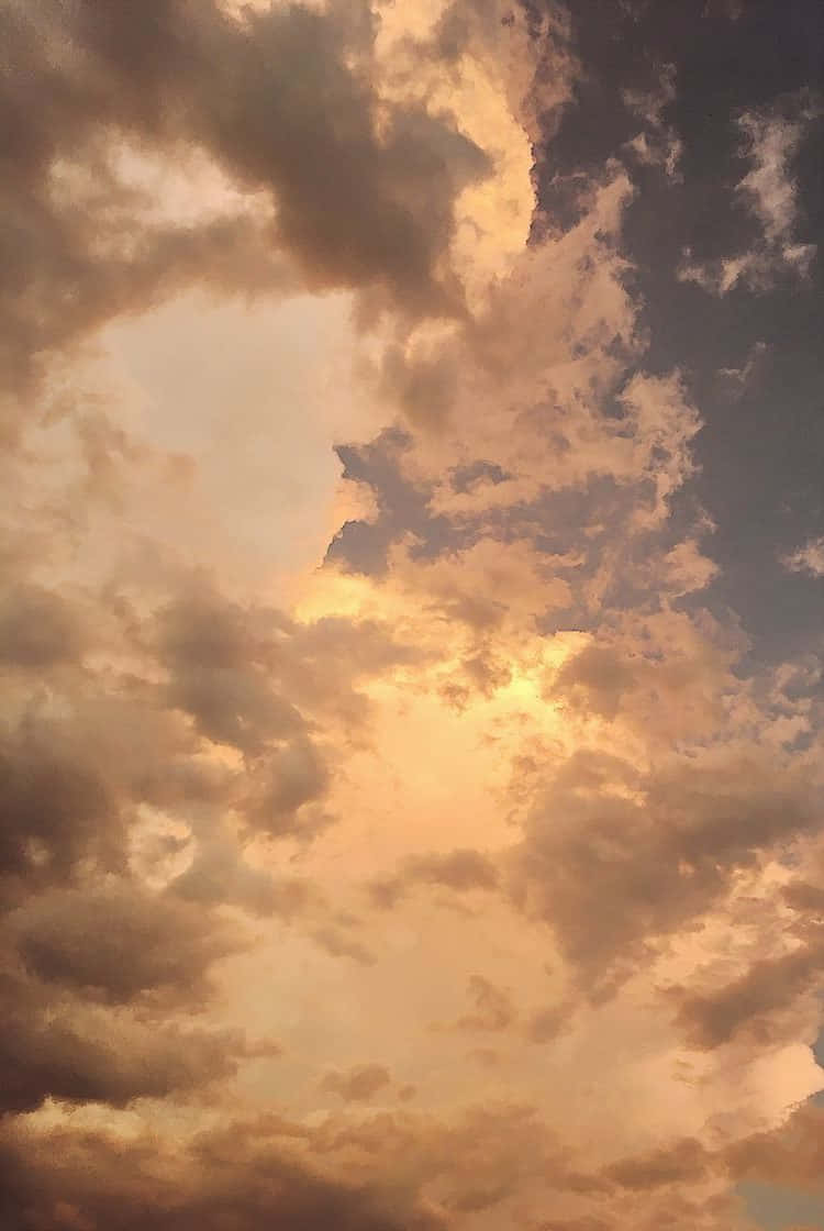 हल्के भूरे रंग की सौंदर्यपूर्ण तस्वीरें वॉलपेपर