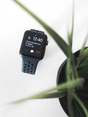 Apple Watch सौंदर्यपूर्ण फोटोग्राफ वॉलपेपर — Apple Watch वॉलपेपर