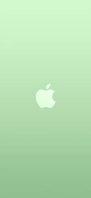 iPhone 11 ग्रीन — पिक्सल 7 प्रो वॉलपेपर