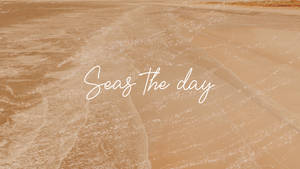 Seas The Day क्रीम एस्थेटिक
