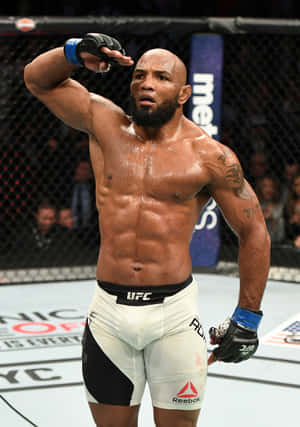 UFC 205 में योएल रोमेरो का अभिवादन — विवो पैड5 वॉलपेपर