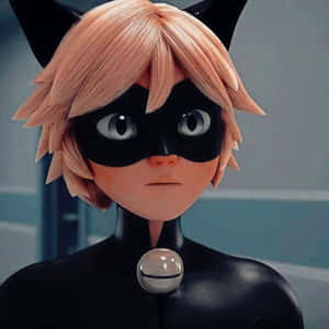 Cat Noir तस्वीरें — कैट नॉर वॉलपेपर
