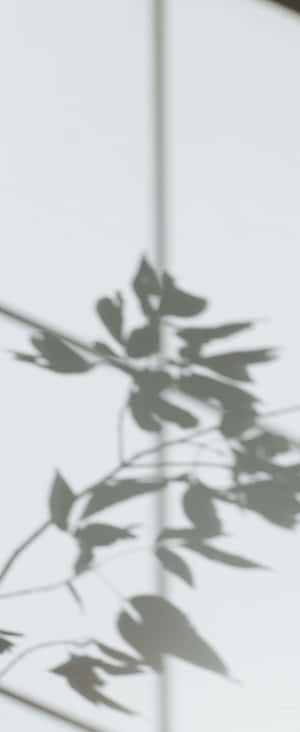 1080x2636 — 小米 Mix Flip 2 वॉलपेपर