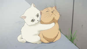 एनिमे बिल्ली के चित्र — एनीमे बिल्ली वॉलपेपर