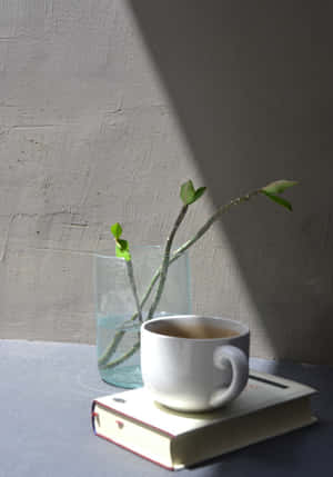 Aesthetic Minimalist pictures — सौंदर्यपूर्ण न्यूनतम जीआईएफ वॉलपेपर