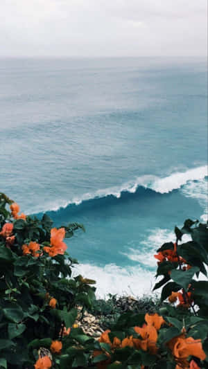 गर्मियों की तस्वीरें — समर वॉलपेपर