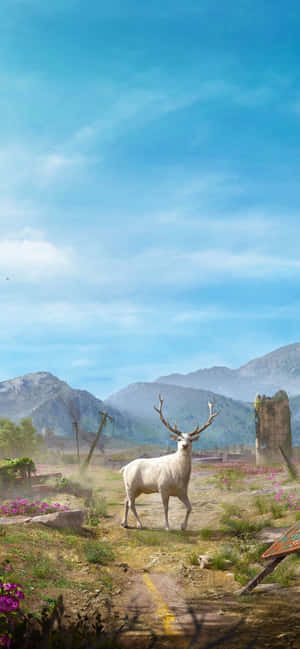 Iphone Xs Max Far Cry 5 पृष्ठभूमि — Zenfone 11 Ultra वॉलपेपर