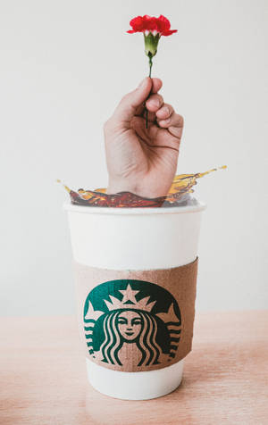 हाथ Starbucks iPhone — हुआवेई मेटपैड प्रो 12 (2026) वॉलपेपर