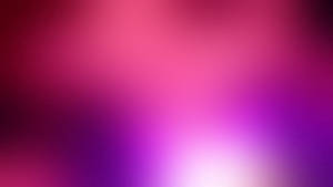 चमकीला गुलाबी और बैंगनी धुंधला वॉलपेपर।