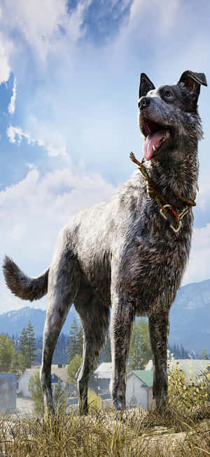 iPhone Xs Far Cry 5 बैकग्राउंड — पोको एफ वॉलपेपर