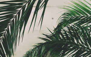 1280x800