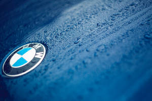 बूंदों के साथ नीली कार पर BMW लोगो का क्लोज़-अप वॉलपेपर