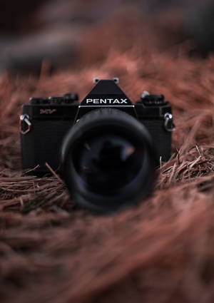 पक्षी के घोंसले वाले वॉलपेपर पर काले Pentax कैमरे की तस्वीर — ओप्पो पैड 6 वॉलपेपर