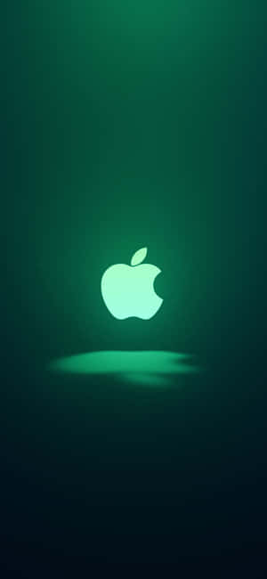 iPhone 11 हरा — पिक्सल 8 वॉलपेपर