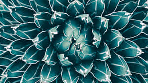 5120x2880 — 5120x2880 वॉलपेपर