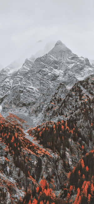 1170x2532 — ओप्पो Find X वॉलपेपर