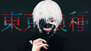 टोक्यो ग़ौल चित्र — Tokyo ghoul GIF वॉलपेपर