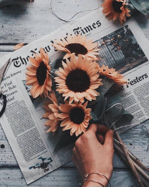 सनफ्लावर ऑन न्यूज़पेपर टम्बलर एस्थेटिक वॉलपेपर — Tumblr सौंदर्यशास्त्र वॉलपेपर