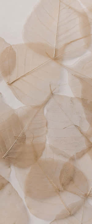 1080x2636 — 小米 Mix Flip 2 वॉलपेपर