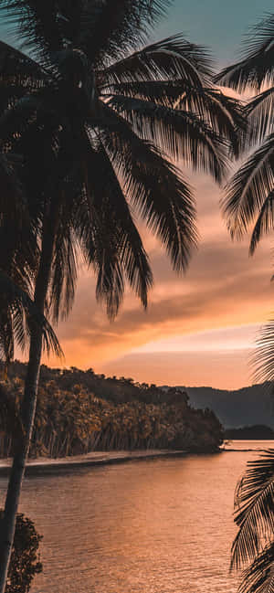 1170x2532 — Vivo X300 Pro वॉलपेपर