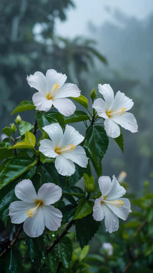 प्रकृति,फूल,पुष्पीय,पृष्ठभूमि,वसंत,बारिश,पेड़,हरा,उष्णकटिबंधीय,खिलना,बगीचा,सुंदर,पत्तियां,मैक्रो,प्राकृतिक,सफेद फूल,सौंदर्यपूर्ण,एआई जनरेटिव,जनरेटिव एआई,वॉलपेपर