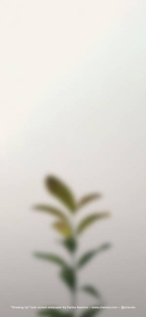 बेज आईफोन — 1320x2868 वॉलपेपर
