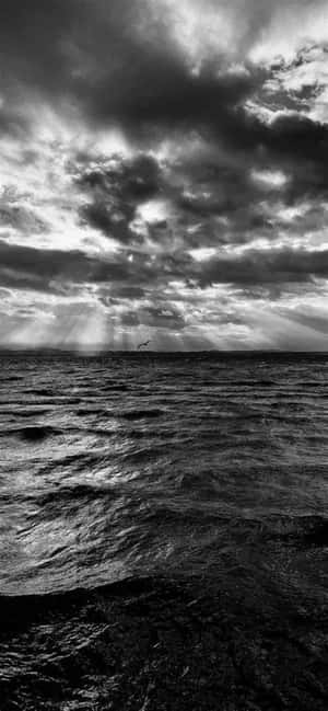 Black And White Iphone Pictures — IQOO Z10R वॉलपेपर