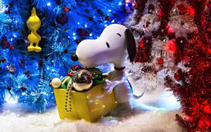 स्नूपी क्रिसमस 3D वॉलपेपर — Snoopy क्रिसमस वॉलपेपर