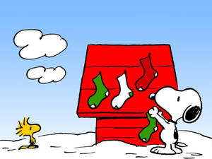 स्नूपी क्रिसमस मोज़े वॉलपेपर — Snoopy क्रिसमस वॉलपेपर
