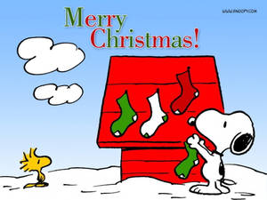 स्नूपी क्रिसमस हाउस मोज़े वॉलपेपर — Snoopy क्रिसमस वॉलपेपर